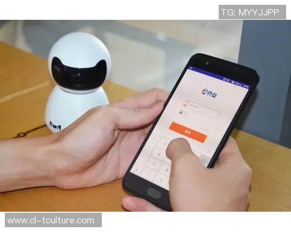 智能摄像头助力足球直播体验升级，实时捕捉精彩瞬间与战术分析