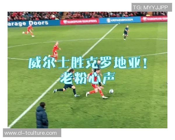 克罗地亚与威尔士比赛数据分析及历史交锋记录详解 克罗地亚与威尔士比赛数据分析及历史交锋记录详解