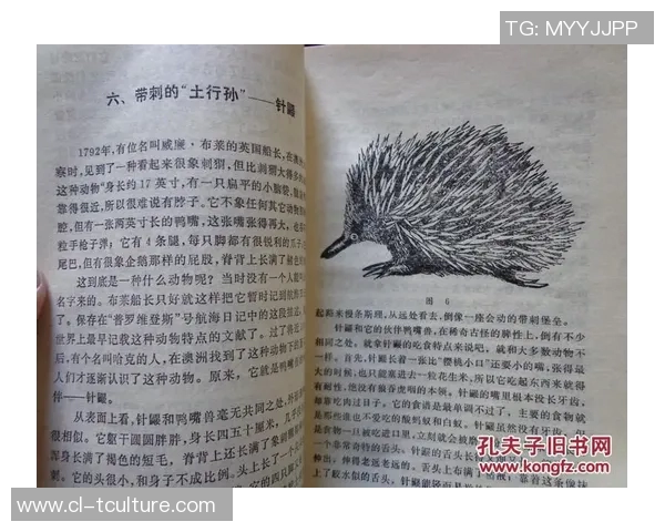 沙根的神秘世界探索与研究揭示其生态价值与生物多样性保护的重要性